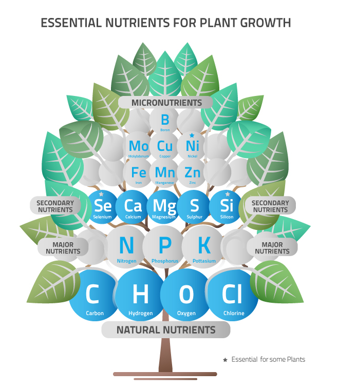 Nutrients Tree